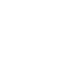 XGIMI